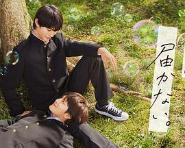 泛页面关键词2944